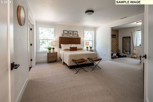 3600 N 11th Cir, Ridgefield, WA 98642 - bedroom featuring light carpet, multiple windows, and a textured ceiling