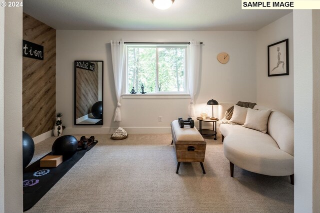3600 N 11th Cir, Ridgefield, WA 98642 - sitting room with carpet and baseboards