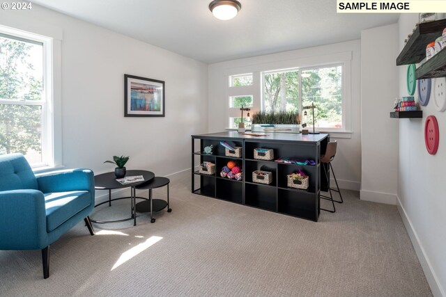 3600 N 11th Cir, Ridgefield, WA 98642 - living area with plenty of natural light and carpet floors