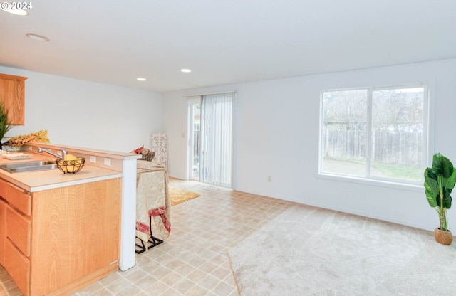 kitchen with sink