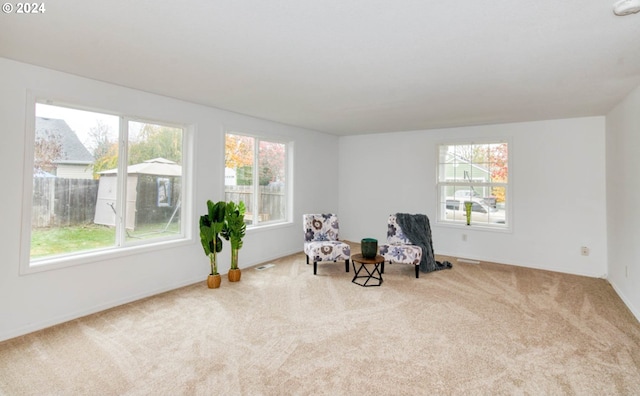 living area featuring light colored carpet and a healthy amount of sunlight