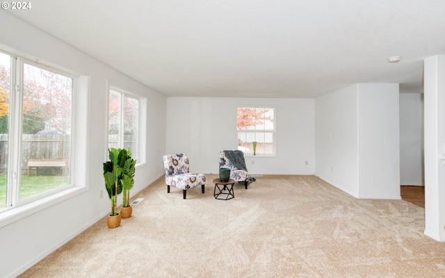 living area with light colored carpet