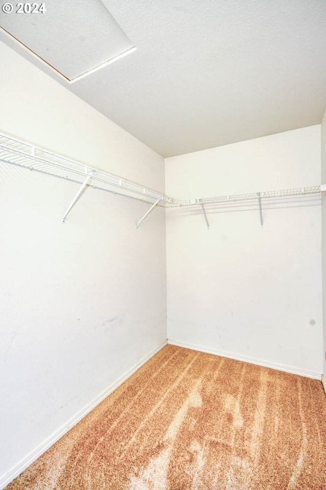 spacious closet featuring carpet floors