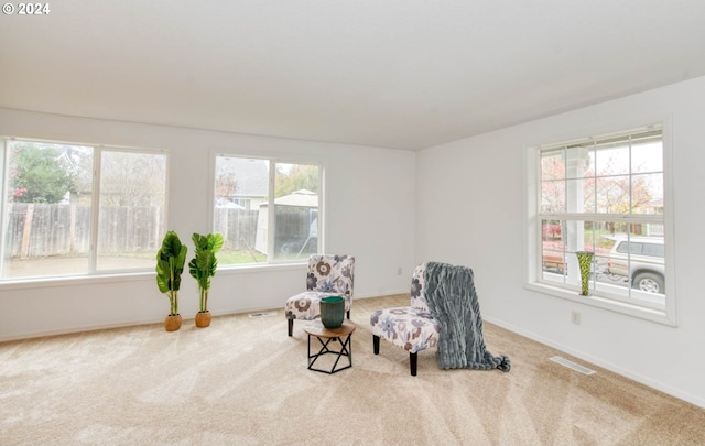 living area featuring light carpet