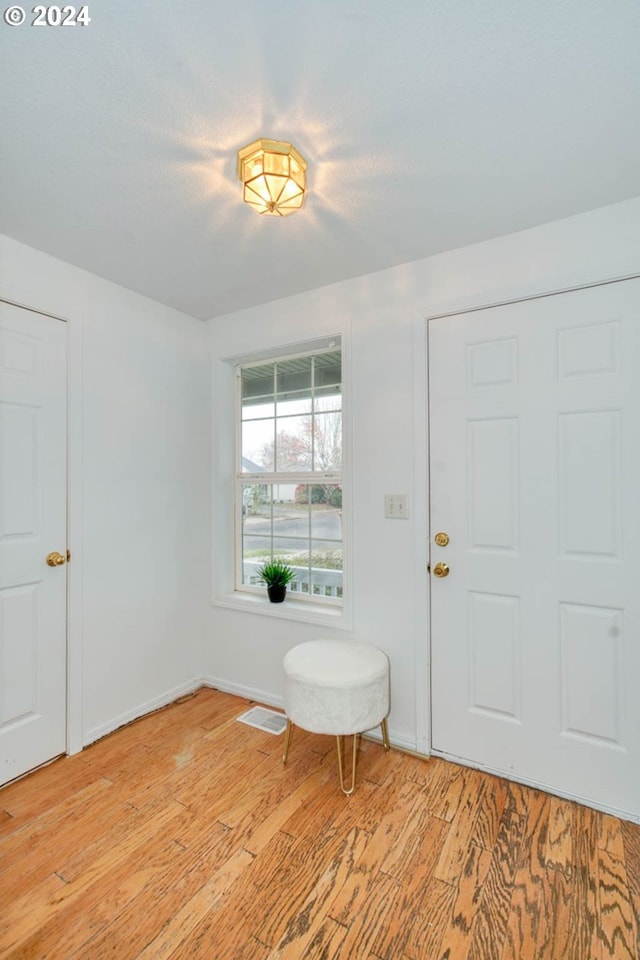 entryway with light hardwood / wood-style floors