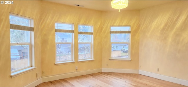 spare room with a wealth of natural light and wood-type flooring