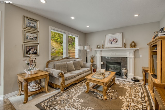 living room with a fireplace and hardwood / wood-style floors