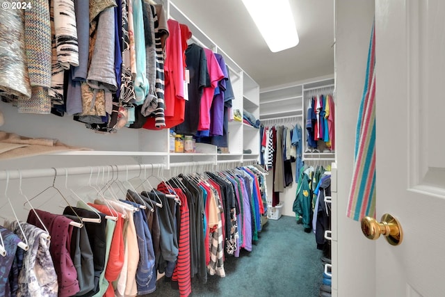 spacious closet featuring dark colored carpet