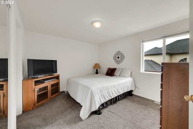 bedroom featuring carpet