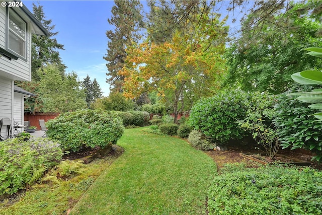 view of yard featuring a patio area