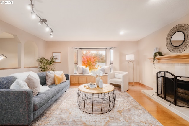 living room with a fireplace and light hardwood / wood-style floors