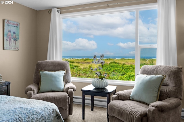 bedroom with baseboard heating and a water view