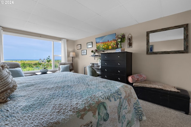 bedroom featuring carpet flooring