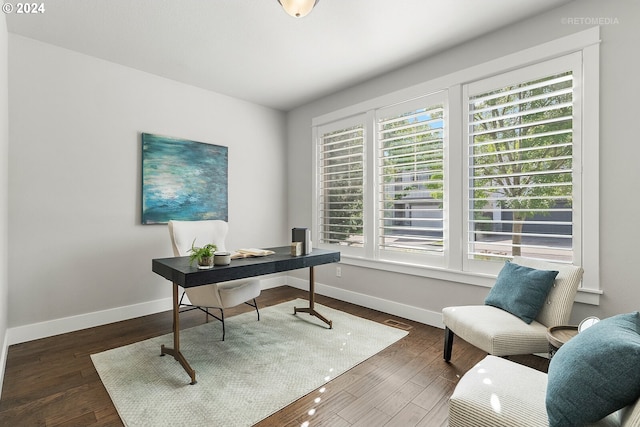 office space with dark hardwood / wood-style flooring