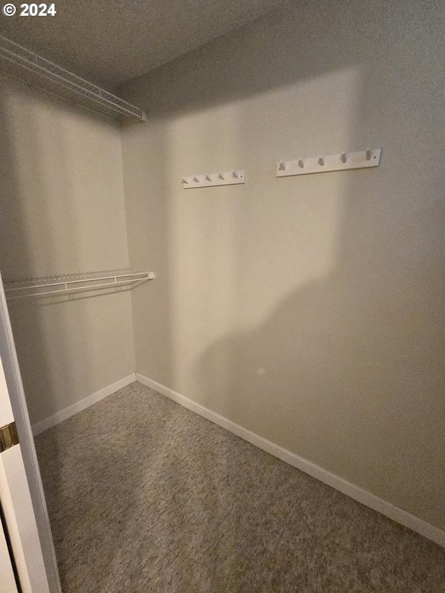 spacious closet with carpet flooring