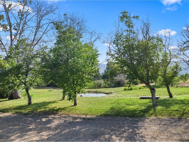 surrounding community featuring a water view and a yard