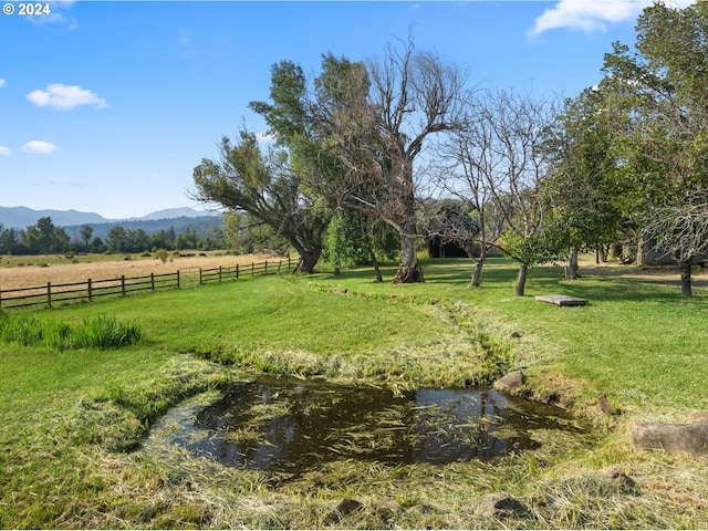 view of yard featuring a mountain view