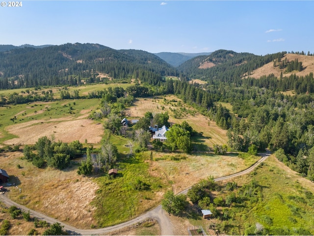 drone / aerial view featuring a mountain view