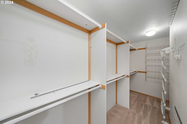 10909 SW Adele Dr, Portland, OR 97225 - walk in closet featuring light carpet