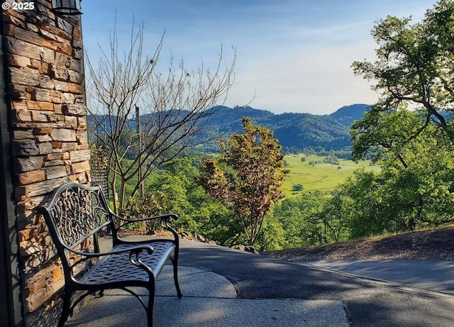 view of mountain feature