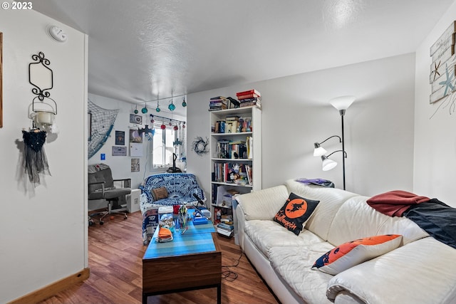 living room with hardwood / wood-style floors