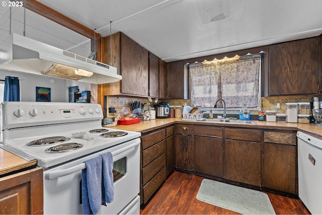 kitchen featuring dark brown cabinetry, dark hardwood / wood-style flooring, tasteful backsplash, sink, and white appliances