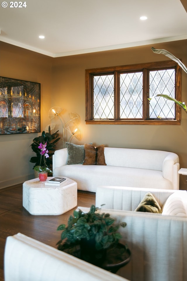 living room featuring hardwood / wood-style floors