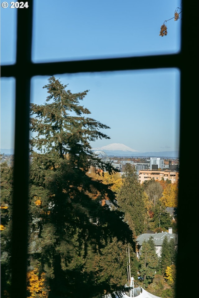 property view of water with a mountain view