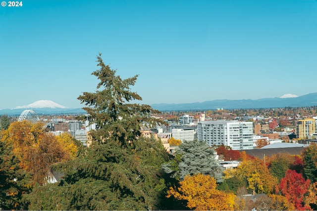 property's view of city featuring a mountain view