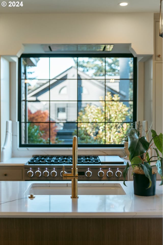 room details featuring sink