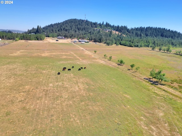 bird's eye view featuring a mountain view and a rural view