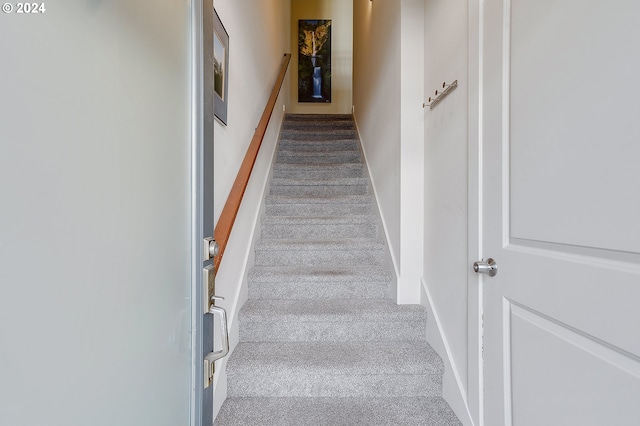 stairway featuring carpet