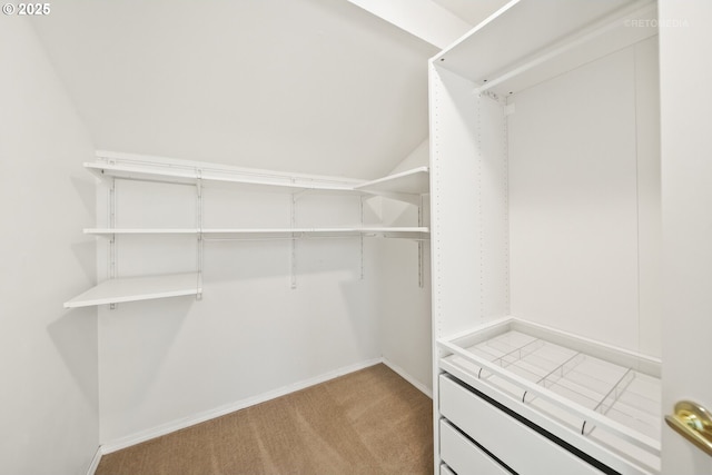 spacious closet featuring light colored carpet