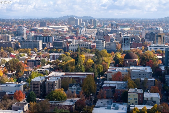 property's view of city