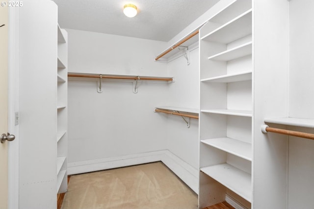 spacious closet with light colored carpet