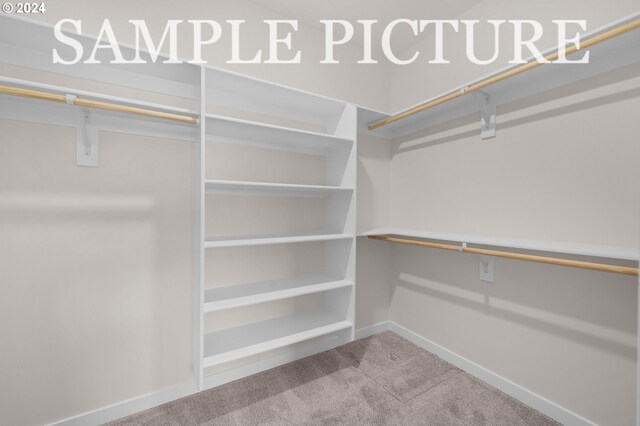 spacious closet with carpet flooring