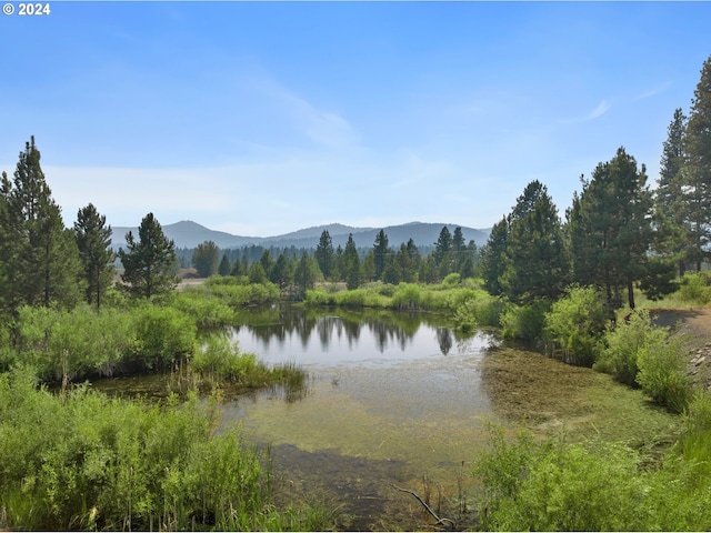 property view of water featuring a mountain view