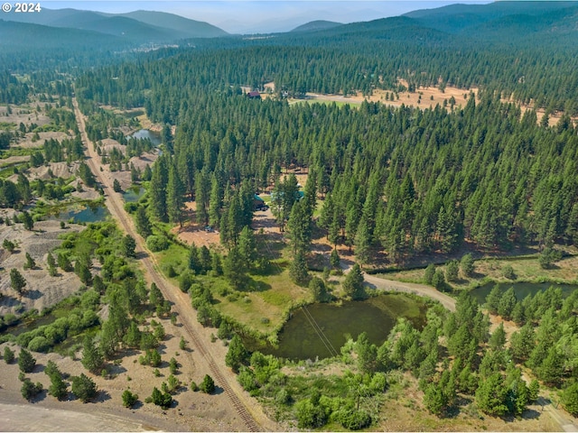 birds eye view of property featuring a mountain view