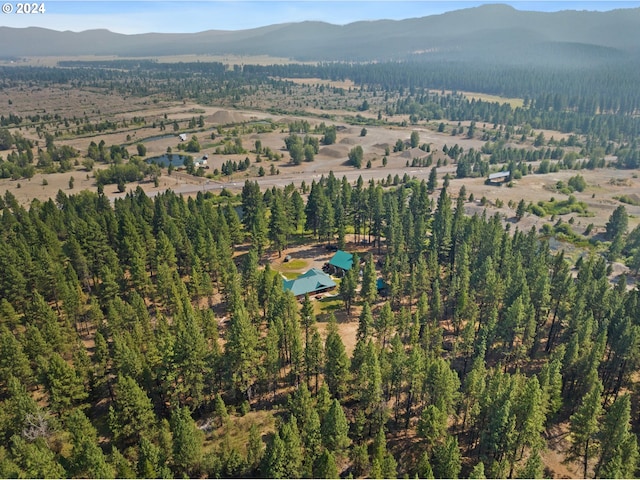 drone / aerial view featuring a mountain view