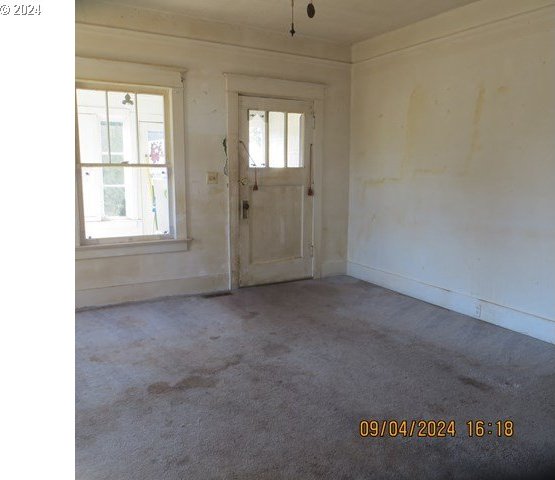 foyer featuring plenty of natural light and carpet flooring