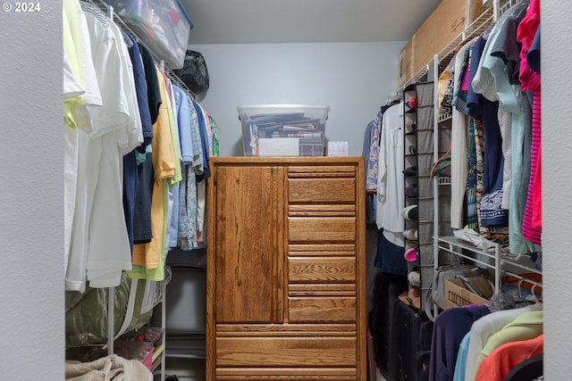 view of walk in closet