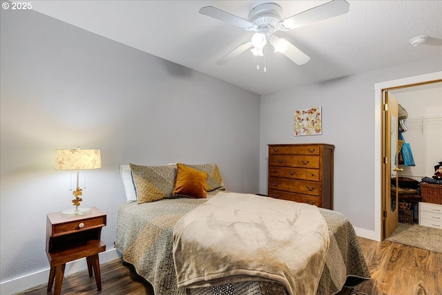 bedroom with a walk in closet, ceiling fan, a closet, and hardwood / wood-style floors