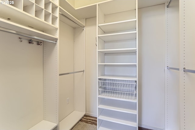 walk in closet featuring wood-type flooring