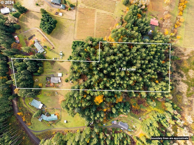 386 Longview Dr, Elkton, OR 97436 - aerial view of property and surrounding area with property parcel outlined