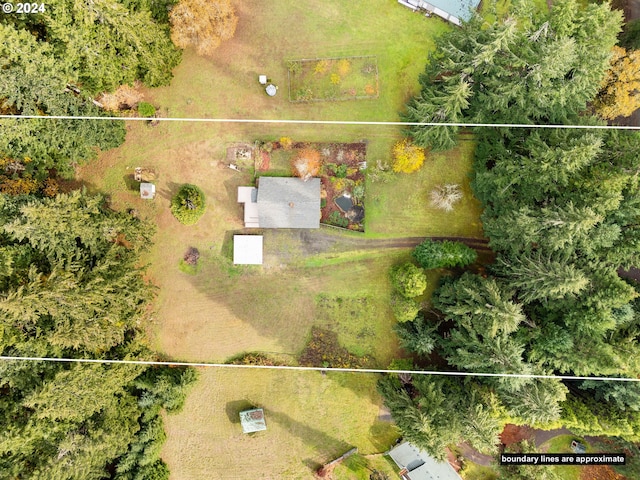 386 Longview Dr, Elkton, OR 97436 - aerial view of property's location with property parcel outlined