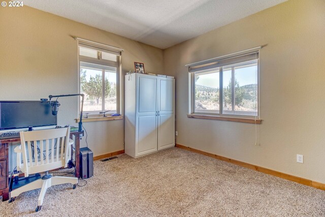 miscellaneous room with a textured ceiling and light carpet