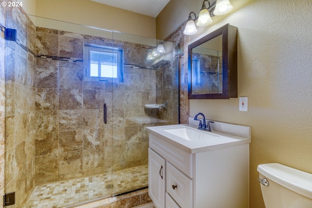 bathroom with vanity, toilet, and an enclosed shower