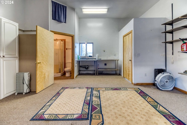 interior space with light colored carpet and radiator