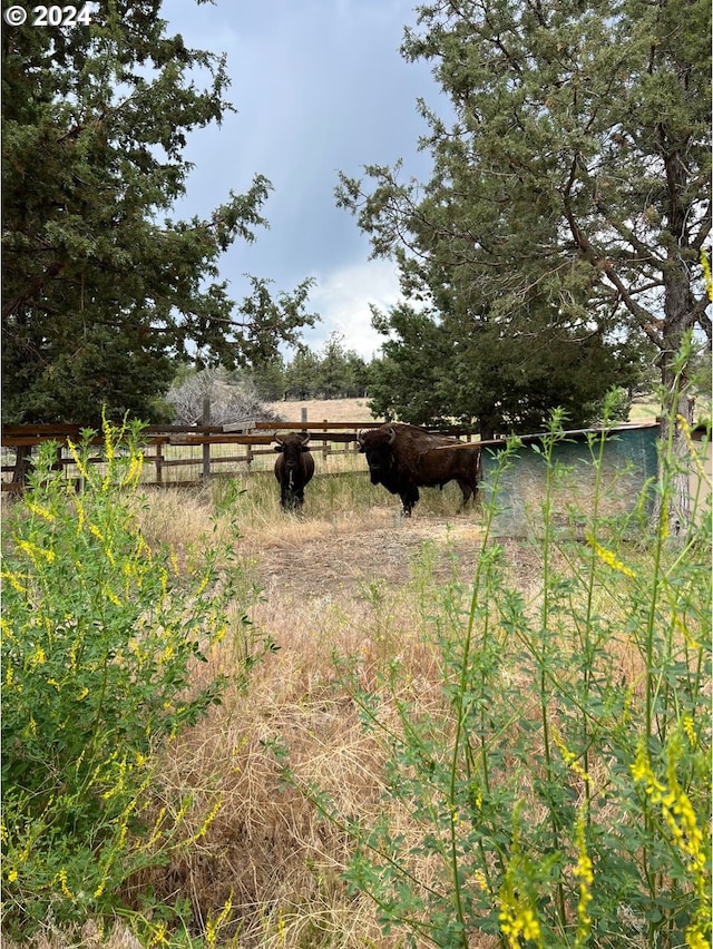 view of yard with a rural view