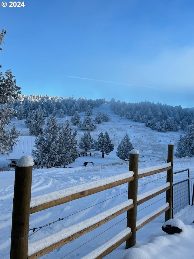 view of snowy yard